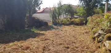 Finca