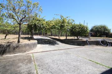 Finca