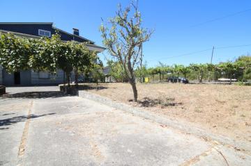 Finca