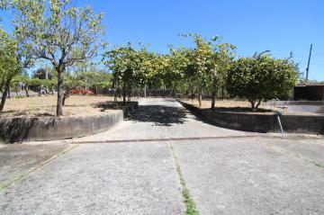 Finca