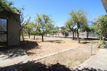 Finca