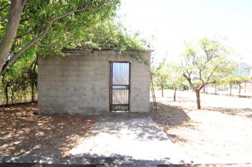 Galpón