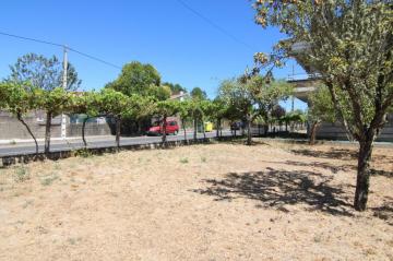 Finca