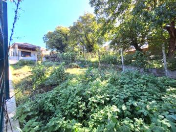 Finca