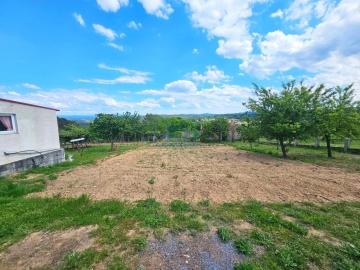 Finca