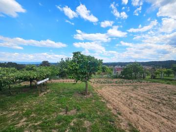 Vistas finca