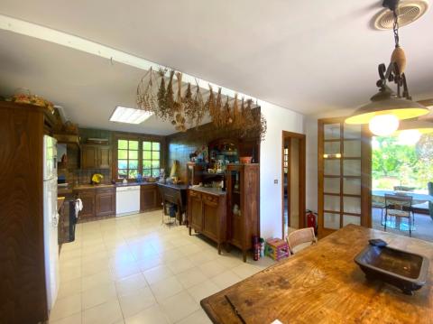 Planta Baja: Cocina con chimenea de leña