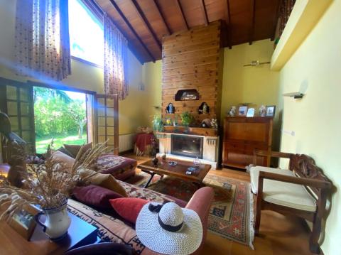 Salón-comedor con chimenea de leña