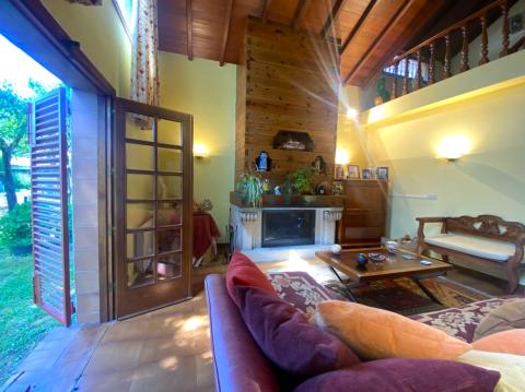 Salón-comedor con chimenea de leña