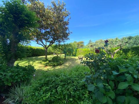 Exteriores del jardín