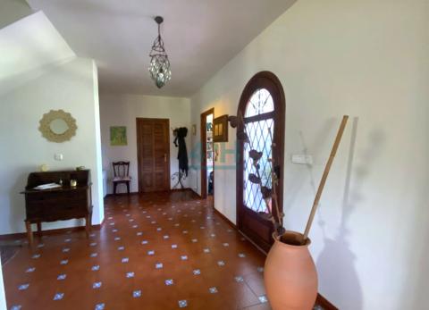 Planta Baja: Hall-Recibidor