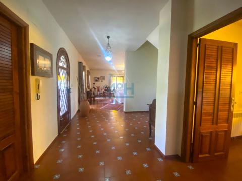 Planta Baja: Hall-Recibidor