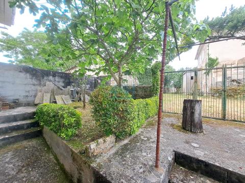 Finca
