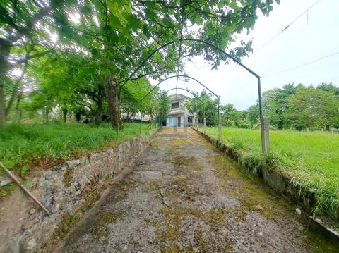 Finca