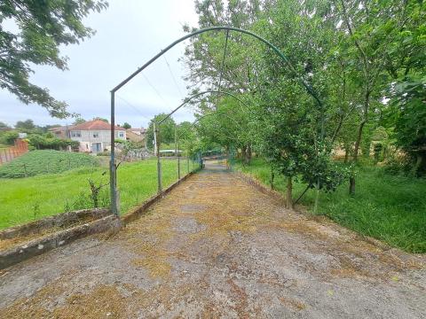 Finca