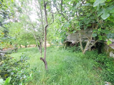 Finca
