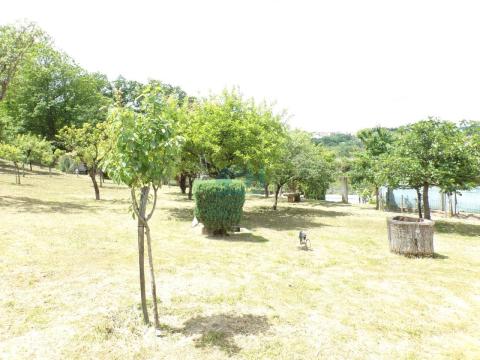 Jardín