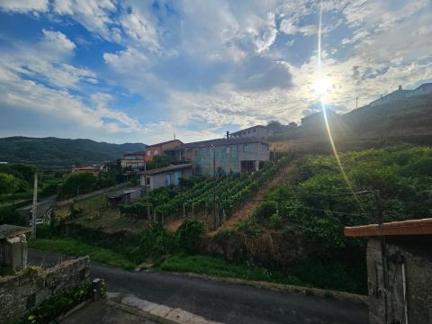 Vistas