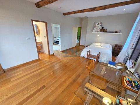 Zoan diafana planta superior