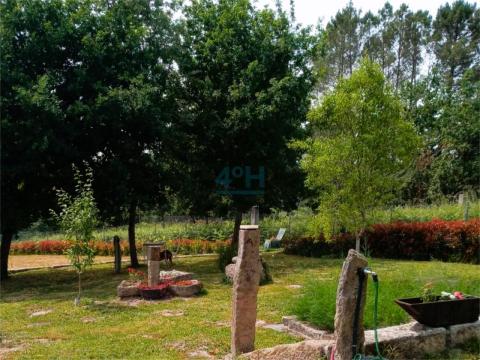 Detallas finca trasera