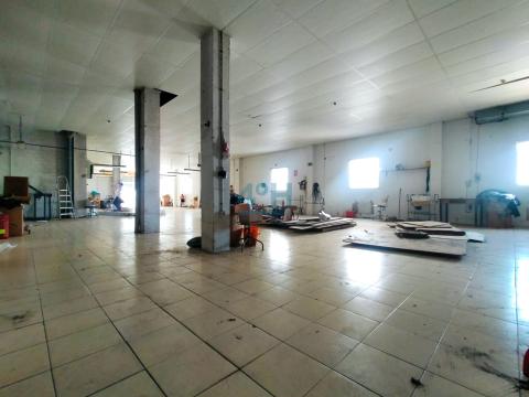 Bajo comercial