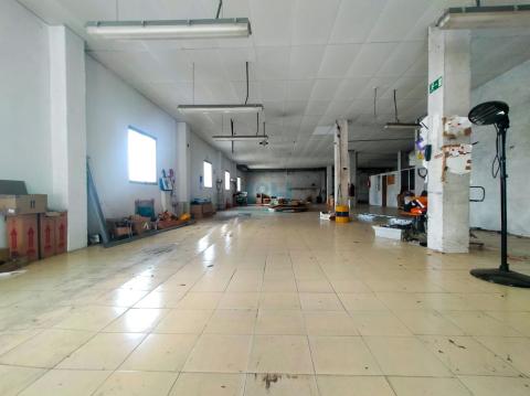 Bajo comercial