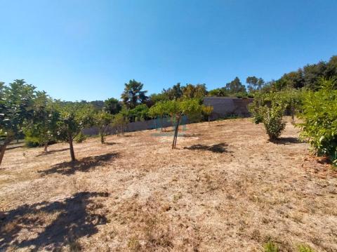 Finca urbanizable