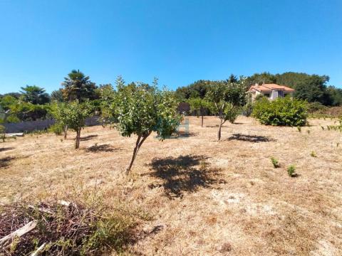 Finca urbanizable