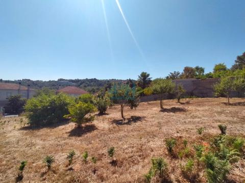 Finca urbanizable