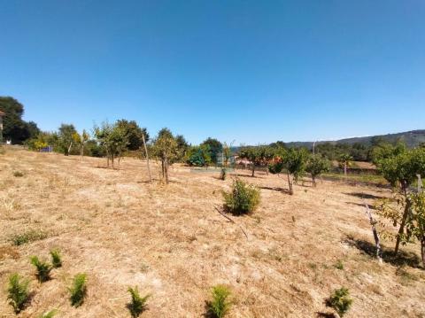 Finca urbanizable