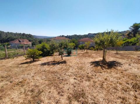 Finca urbanizable