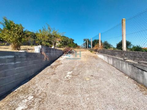 Acceso asfaltado 