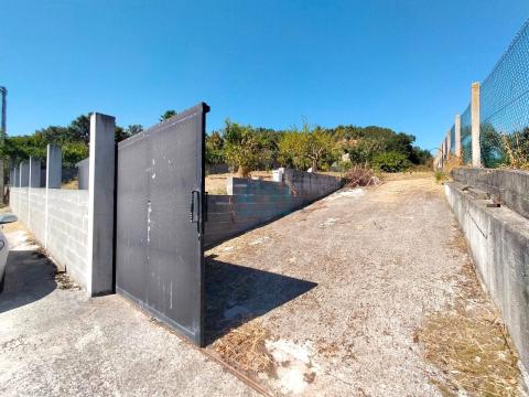Acceso a finca